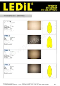 CN14238_WINNIE-W Datasheet Pagina 6