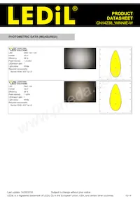 CN14238_WINNIE-W Datasheet Pagina 10