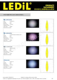 CN15815_GABRIELLA-45-M Datasheet Pagina 3