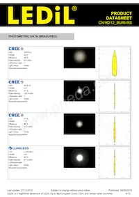 CN16212_SURI-RS Datasheet Page 4