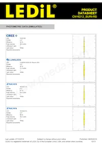 CN16212_SURI-RS Datasheet Page 10