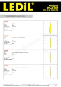CN16212_SURI-RS Datasheet Page 11