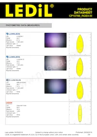 CP10766_RGBX-M Datasheet Pagina 3