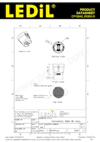 CP10945_RGBX-O Datasheet Page 2