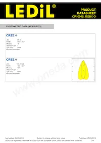 CP10945_RGBX-O Datasheet Page 3