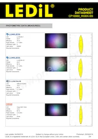 CP10960_RGBX-SS Datasheet Pagina 3