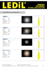 CP12938_LARISA-RS-CLIP8 Datenblatt Seite 3