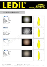 CP12940_LARISA-M-CLIP8 Datasheet Page 3