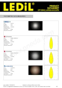 CP12940_LARISA-M-CLIP8 Datasheet Pagina 4