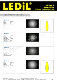 CP12940_LARISA-M-CLIP8 Datasheet Page 6