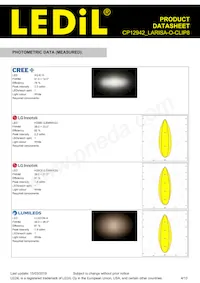 CP12942_LARISA-O-CLIP8 Datasheet Page 4