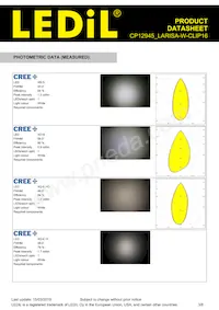 CP12945_LARISA-W-CLIP16 Datasheet Page 3