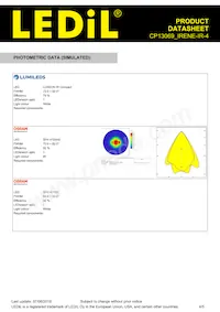 CP13069_IRENE-IR-4 Datasheet Pagina 4