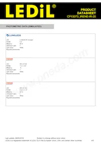 CP13073_IRENE-IR-25 Datasheet Page 4