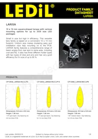 CP13134_LARISA-RS-CLIP16 Datasheet Copertura