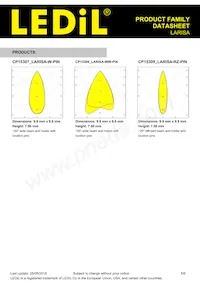 CP13134_LARISA-RS-CLIP16 Datenblatt Seite 5