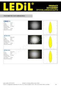 CP13135_LARISA-M-CLIP16 Datasheet Page 3