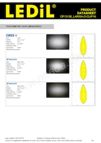 CP13136_LARISA-O-CLIP16 Datasheet Page 3