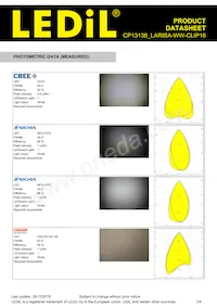 CP13138_LARISA-WW-CLIP16 Datasheet Page 3