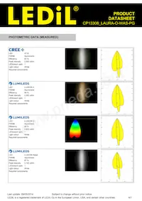 CP13308_LAURA-O-WAS-PG Datasheet Page 4