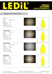 CP15775_CARMEN-M-C Datasheet Pagina 12