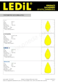 CP15776_CARMEN-W-C Datasheet Page 13