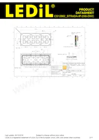 CS12862_STRADA-IP-2X6-DWC Datasheet Pagina 2