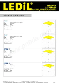 CS12862_STRADA-IP-2X6-DWC Datasheet Page 3