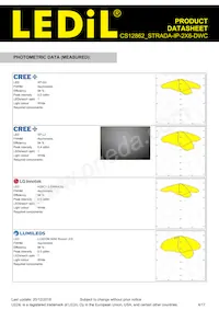 CS12862_STRADA-IP-2X6-DWC Datasheet Page 4