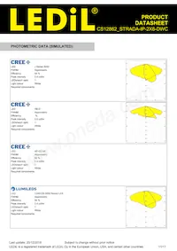 CS12862_STRADA-IP-2X6-DWC Datasheet Pagina 11