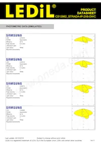 CS12862_STRADA-IP-2X6-DWC數據表 頁面 14