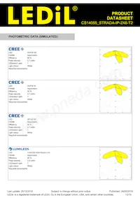 CS14055_STRADA-IP-2X6-T2 Datasheet Page 13