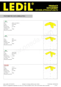 CS14055_STRADA-IP-2X6-T2 Datasheet Page 17