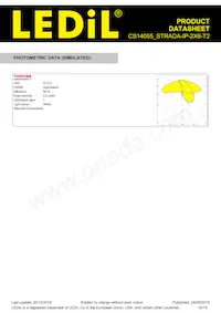 CS14055_STRADA-IP-2X6-T2 Datasheet Page 18