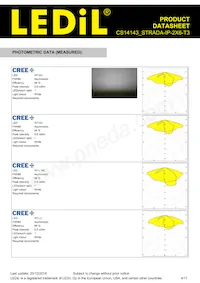 CS14143_STRADA-IP-2X6-T3 Datasheet Page 4