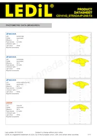 CS14143_STRADA-IP-2X6-T3 Datasheet Pagina 7