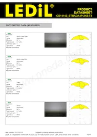 CS14143_STRADA-IP-2X6-T3 Datasheet Pagina 10