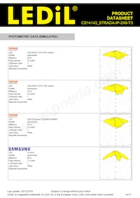 CS14143_STRADA-IP-2X6-T3 Datasheet Pagina 14