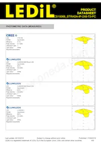 CS15068_STRADA-IP-2X6-T3-PC Datasheet Page 4