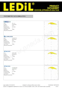 CS15158_STRADA-IP-2X6-T4-B Datasheet Page 13