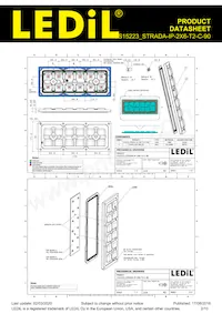 CS15223_STRADA-IP-2X6-T2-C-90 데이터 시트 페이지 2