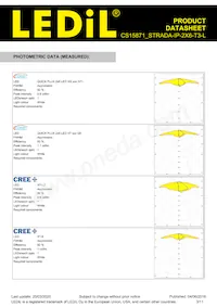 CS15871_STRADA-IP-2X6-T3-L Datasheet Page 3