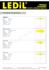 CS15871_STRADA-IP-2X6-T3-L Datasheet Page 4