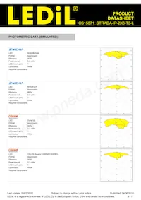 CS15871_STRADA-IP-2X6-T3-L Datasheet Pagina 9