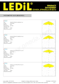 CS16034_STRADELLA-IP-28-T2 Datasheet Page 3