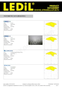 CS16102_STRADELLA-IP-28-T3 Datasheet Pagina 5