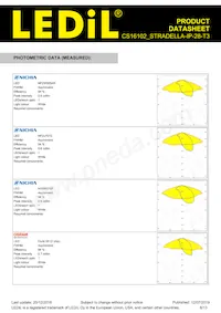 CS16102_STRADELLA-IP-28-T3數據表 頁面 6