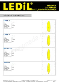 CS16322_STRADELLA-IP-28-HB-S Datasheet Pagina 8