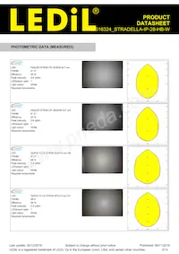 CS16324_STRADELLA-IP-28-HB-W Datasheet Page 3