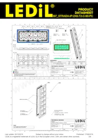 CS16397_STRADA-IP-2X6-T2-C-90-PC Datasheet Page 2